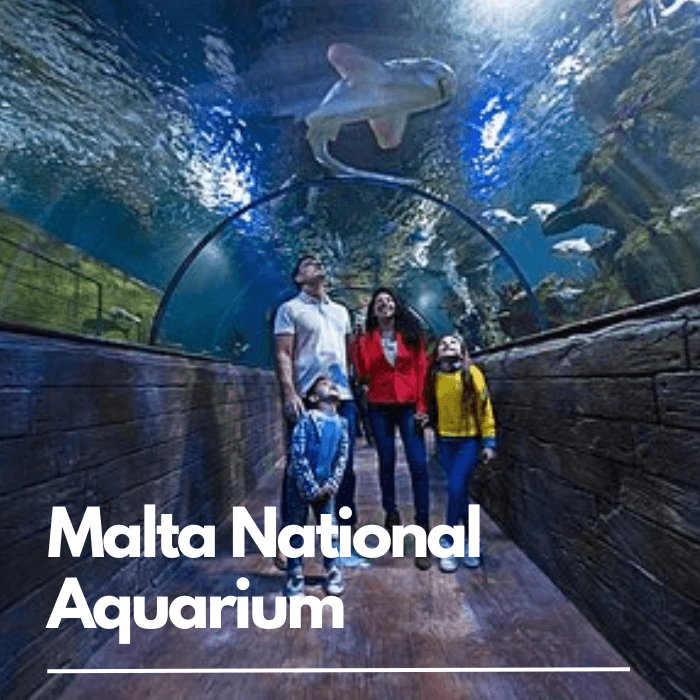 malta-aquarium